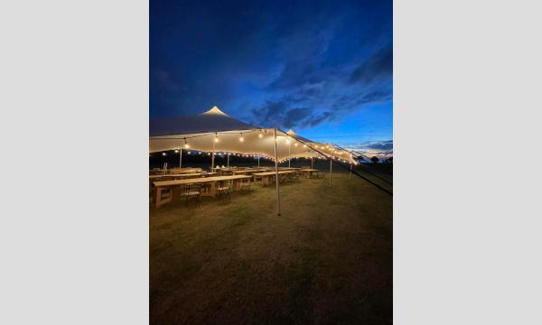 Night Park OARAI 2025 特設アウトドアラウンジ イベント画像3