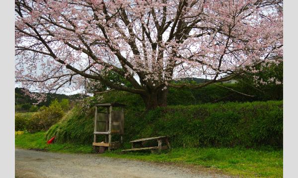 低山トラベラーと征く 低山再発見の旅！#30「山の辺の道」天理～柳本 イベント画像2