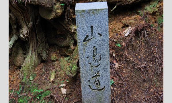 低山トラベラーと征く 低山再発見の旅！#30「山の辺の道」天理～柳本 イベント画像3