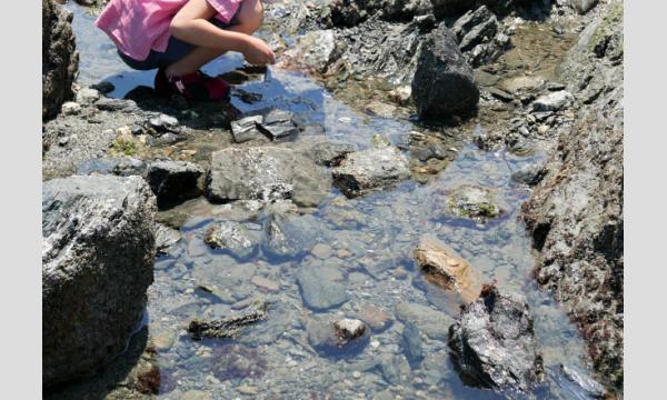 ちびっこトレッキング教室「城ヶ島」(三浦半島) イベント画像2
