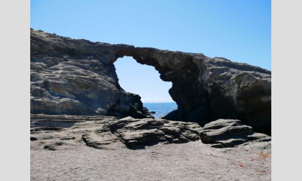 ちびっこトレッキング教室「城ヶ島」(三浦半島) イベント画像3