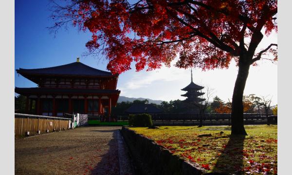 低山トラベラーと征く 低山再発見の旅！#26「春日大社と若草山」 イベント画像2
