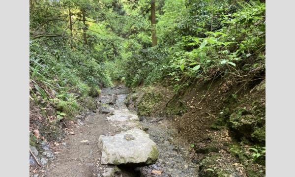 ちびっこトレッキング教室「高尾山」 イベント画像3
