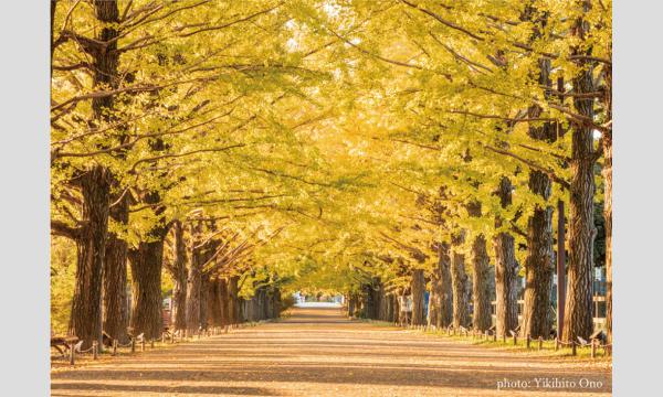 うゆゆ撮影会in西立川周辺エリア