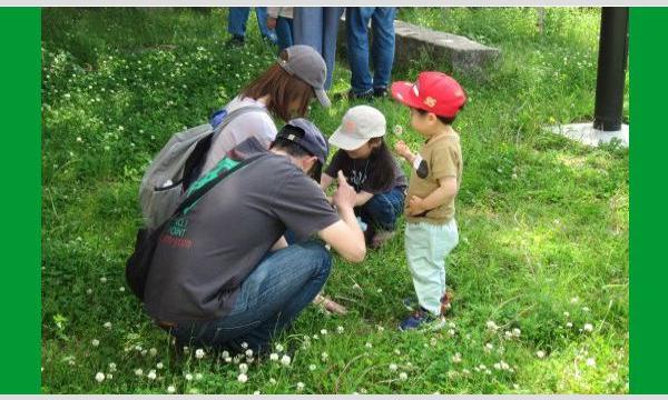 ネイチャーサイエンス「江波山のみどり 生き活き み~つけた!」(広島市江波山気象館)5月24日 イベント画像1