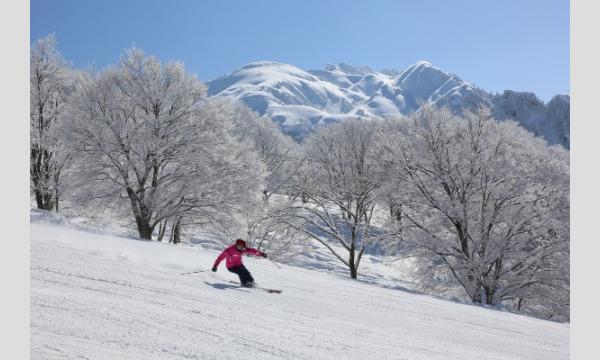 六日町八海山スキー場 リフト1日券 2枚セット