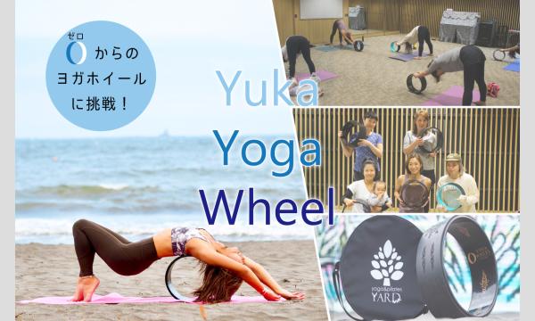 【YUKA YOGA WHEEL】湘南・茅ヶ崎にぴったりのゆったりレッスン「ヨガホイール」初心者もウエルカム！