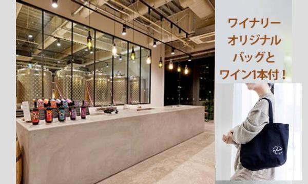 ”みなとHANABI  2025”花火鑑賞とｆwineryワイン＆オードブルスペシャルプラン イベント画像3