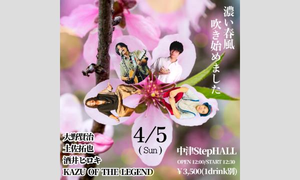 濃い春風吹き始めました