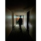 ホームタウンのイベント