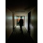 ホームタウンのイベント