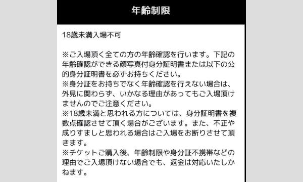 矢沢もとはる 2025生誕祭-ツヅキマシテ、プレゼンツ生誕カウントダウンライブ-Bチケット イベント画像2