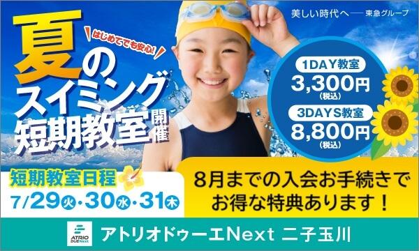 夏の短期水泳教室 イベント画像1