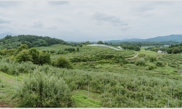 都市経営PS　Aチーム　オガール合宿