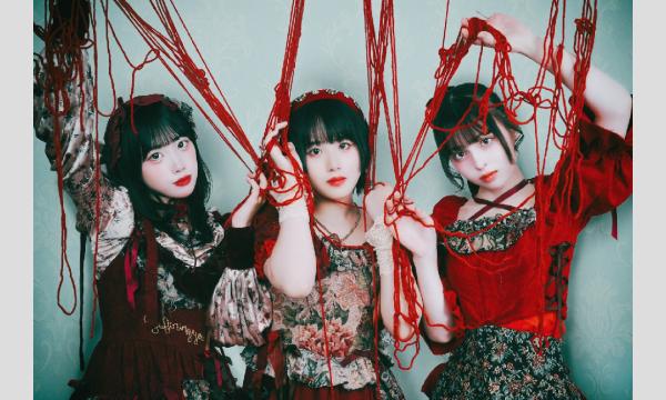 『悪食令嬢と狂血公爵』公式POP UPショップ・一日店長イベント/唯美人形 イベント画像1