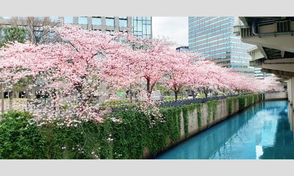 コース３：春の神田川＆日本橋川遊覧クルーズ（９0分） イベント画像2