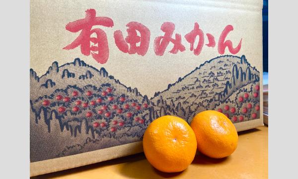100年以上続く！九鬼家、伝統のみかん】（関東・信越・四国・九州への