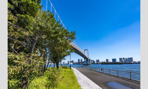 5月3日(日)芝浦ふ頭エリアストリート