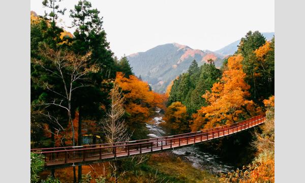 11月20日(日)秋川渓谷紅葉 イベント画像1