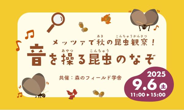 メッツァで秋の昆虫観察！ 〜音を操る昆虫のなぞ〜 in埼玉イベント