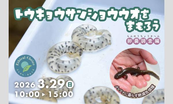 【リピート割引】メッツァビレッジにくらすトウキョウサンショウウオをまもろう！ in埼玉イベント