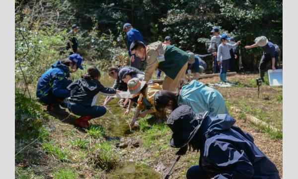 【リピート割引】メッツァビレッジにくらすトウキョウサンショウウオをまもろう！ イベント画像2