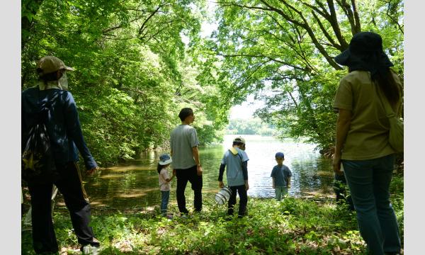 【自由研究お助け隊！】メッツァビレッジで夜のセミ観察！ イベント画像3
