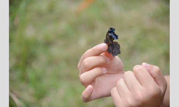 秋のトレジャーハント！〜メッツァからの挑戦！自然の中でお宝を探そう〜 イベント画像3