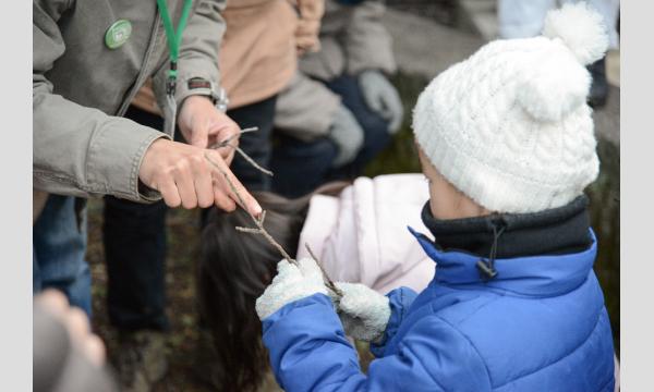 夜のメッツァビレッジ!ムササビナイトツアー イベント画像2