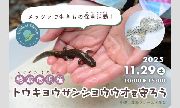 メッツァで生きもの保全活動！トウキョウサンショウウオを守ろう in埼玉イベント