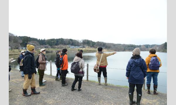 メッツァで生きもの保全活動！トウキョウサンショウウオを守ろう イベント画像2