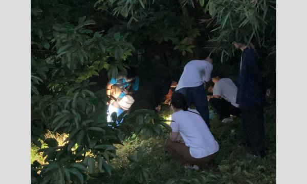 メッツァの水辺でホタル観察！ イベント画像2