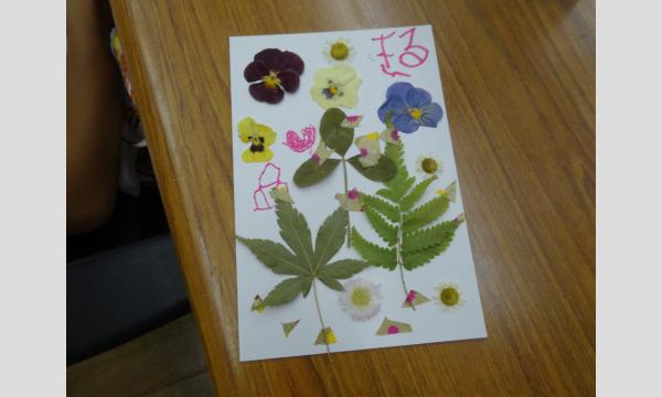 押し花で作る暑中見舞いハガキ イベント画像2