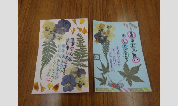 押し花で作る暑中見舞いハガキ イベント画像3