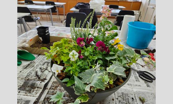 はじめての寄せ植え体験 in滋賀イベント