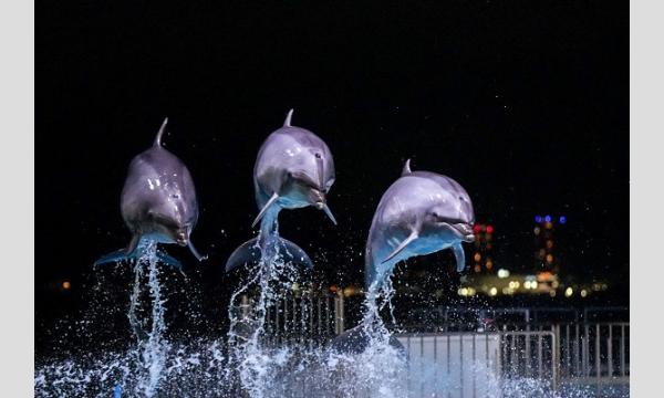 マリンワールド海の中道　年間パスポート会員限定！「夜のすいぞくかん報道内覧会」にご招待 イベント画像1