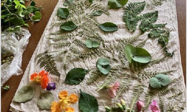 テキスタイルデザイナー・二宮とみ氏レクチャー ミニスカーフ制作体験 ご予約 イベント画像1