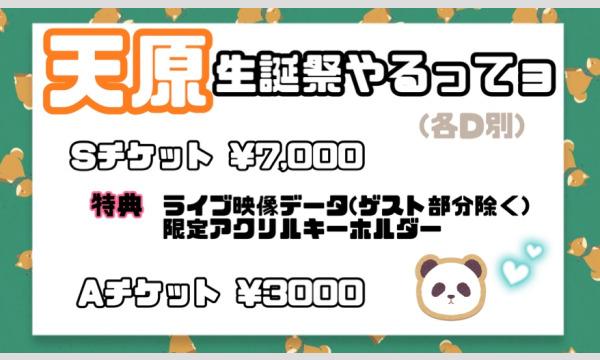 天原 生誕祭やるってョ イベント画像2