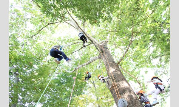 都立八国山緑地　ツリーイング　2026 in東京イベント