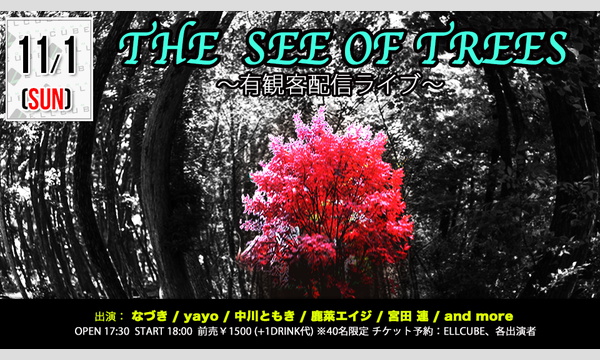 杉村 原生の11月1日(日)「THE SEE OF TREES」有観客配信ライブイベント