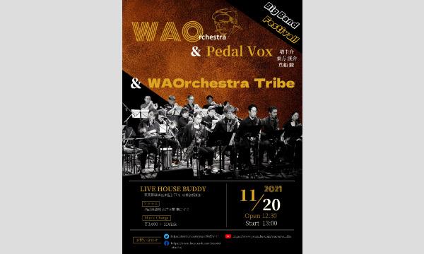 WAOrchestra Big Band Festival！＠Live In BUDDY イベント画像1