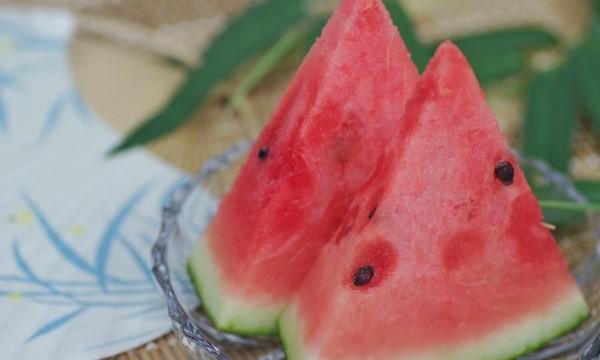 【8月16日・8月17日開催】長良川清流夏祭り イベント画像3
