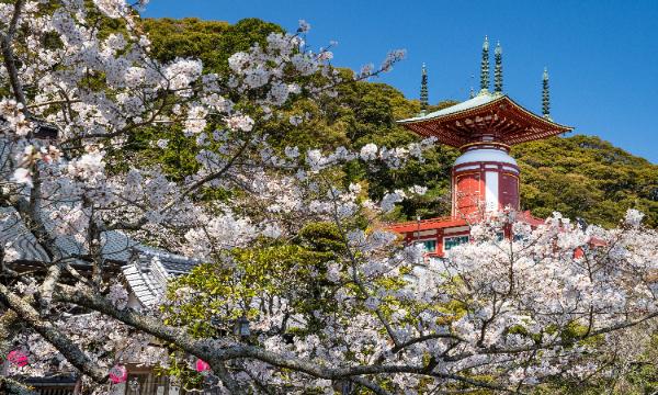 3/21(土) 初開催！ONSEN・ガストロノミーウォーキングinうみがめのまち美波 in徳島イベント