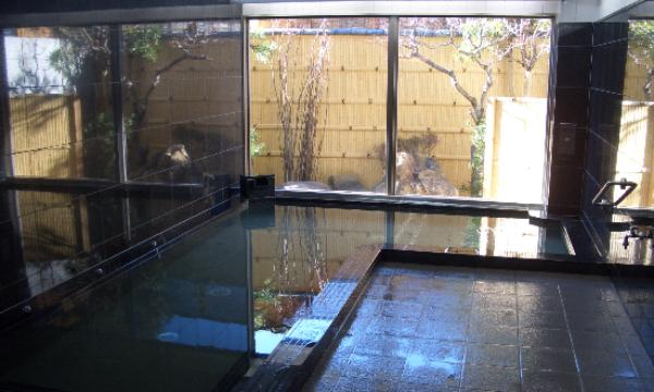 3/21(土) 初開催！ONSEN・ガストロノミーウォーキングinうみがめのまち美波 イベント画像3