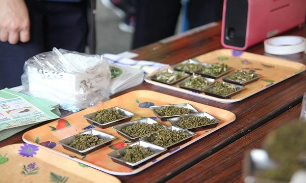 5／29（土）【秋田県内在住者限定】第4回ONSEN・ガストロノミーウォーキングin秋田犬の里おおだて イベント画像2