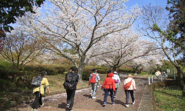 3/28（土）第8回ONSEN・ガストロノミーウォーキングin長崎・波佐見 イベント画像3