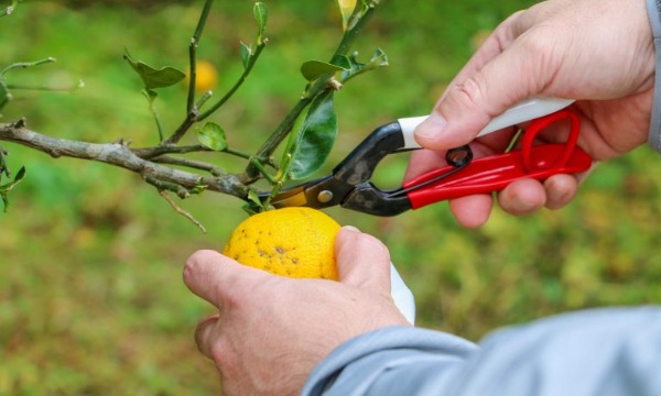 【第6回】ONSEN・ガストロノミーウォーキング in 長門・俵山温泉 イベント画像2
