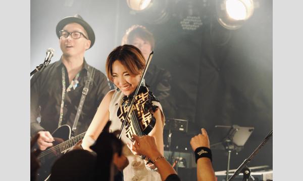 VIOLIN COVER LIVE "KEKO GIGS" ~Unplugged~ イベント画像3
