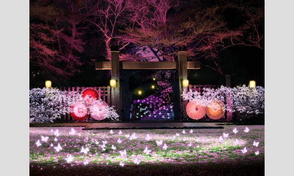 ぎふ灯り物語２０２６ イベント画像1