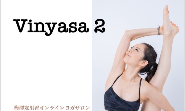 Vinyasa 2 イベント画像1